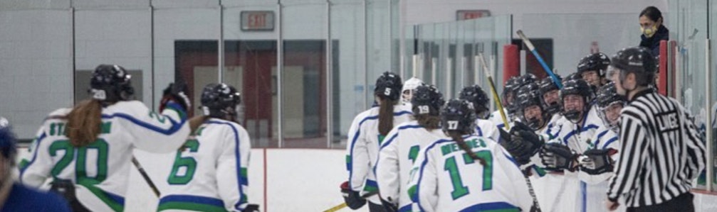 Erika Silva-Adams's Ice Hockey cover photo