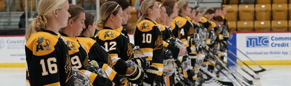 Brendan Ramboer's Ice Hockey cover photo