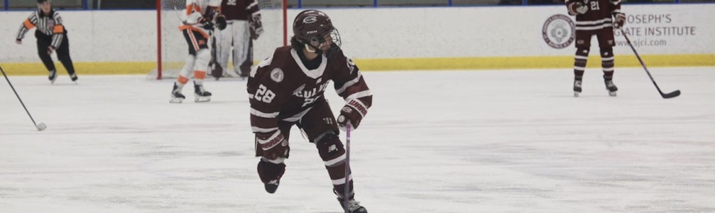 Narelle Lai's Ice Hockey cover photo