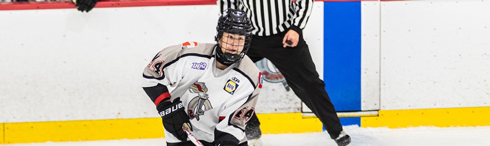 Odile Grenier's Ice Hockey cover photo