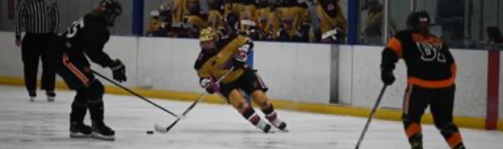 Natalie Cammarata's Ice Hockey cover photo
