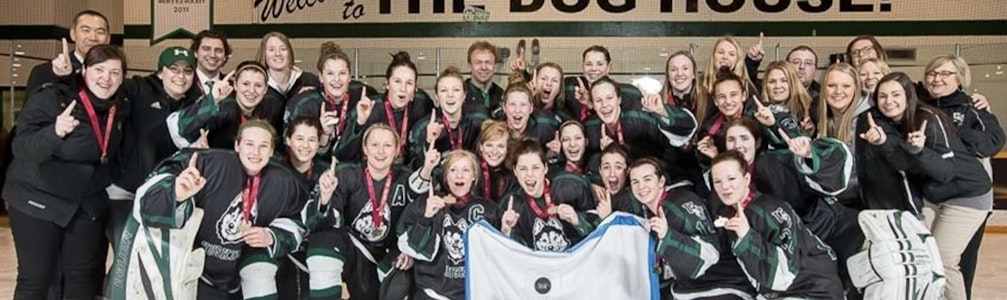 Steve Kook's Ice Hockey cover photo