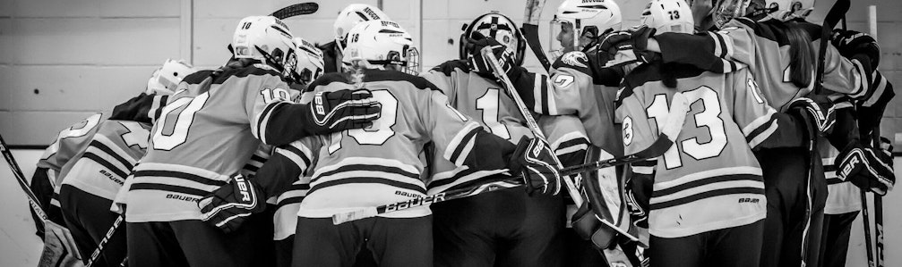 Elizabeth Bauer's Ice Hockey cover photo