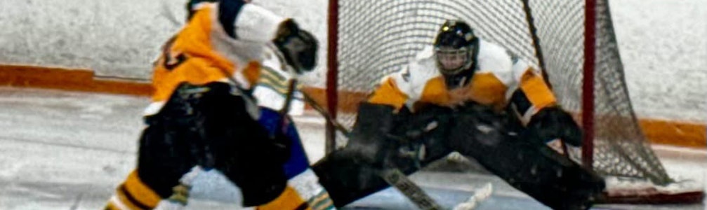 Chloe Rison's Ice Hockey cover photo