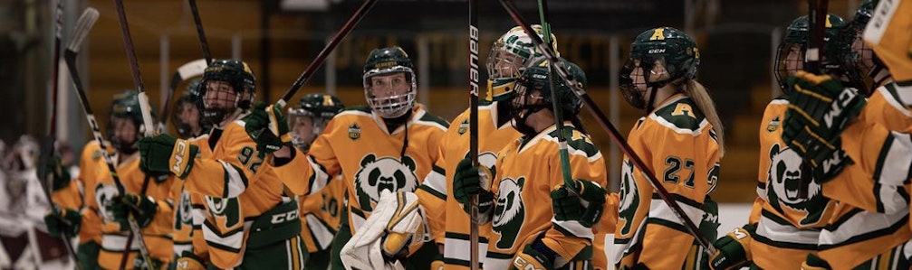 Darren Bilawchuk's Ice Hockey cover photo