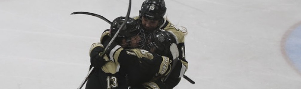 Jane Janda's Ice Hockey cover photo