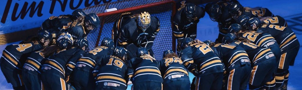 Mike Gerrits's Ice Hockey cover photo