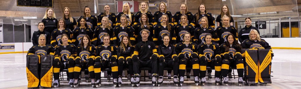 Dollee Meigs's Ice Hockey cover photo