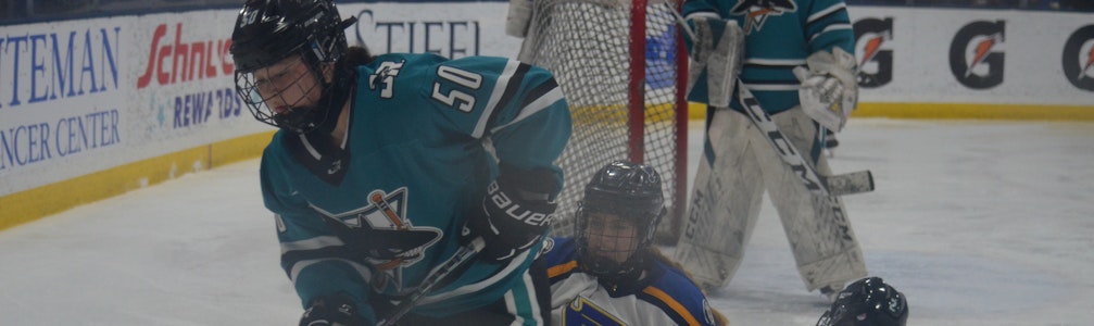 yimei beckmann's Ice Hockey cover photo