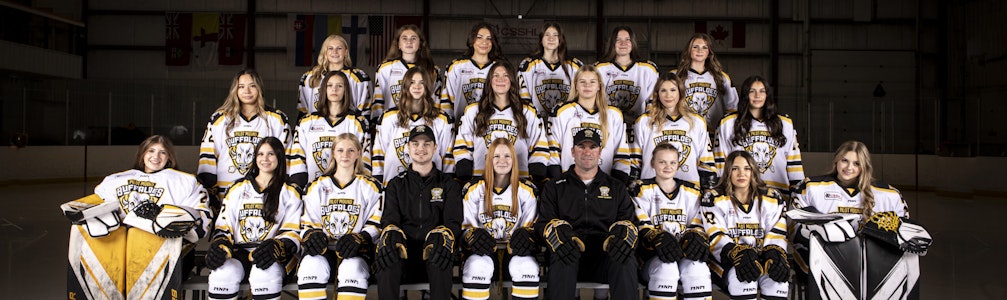 Myelle Johnson's Ice Hockey cover photo