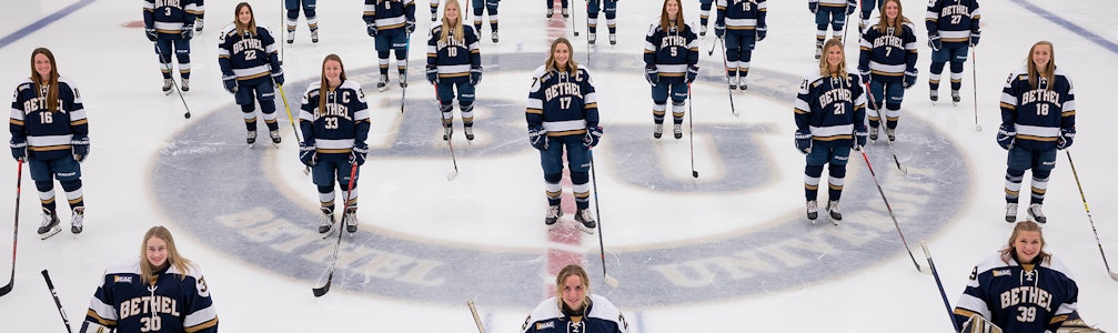 Brian Carlson's Ice Hockey cover photo