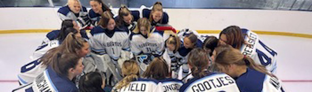 Stephen Novodor's Ice Hockey cover photo