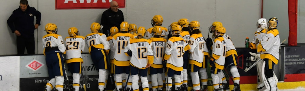 William Towery's Ice Hockey cover photo