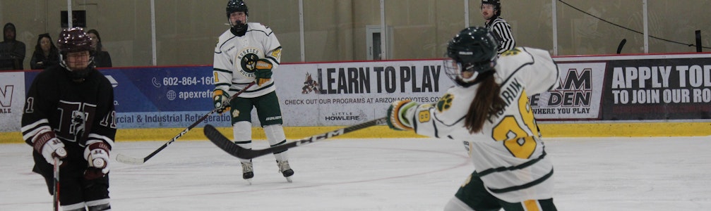 Alison Pisaruk's Ice Hockey cover photo