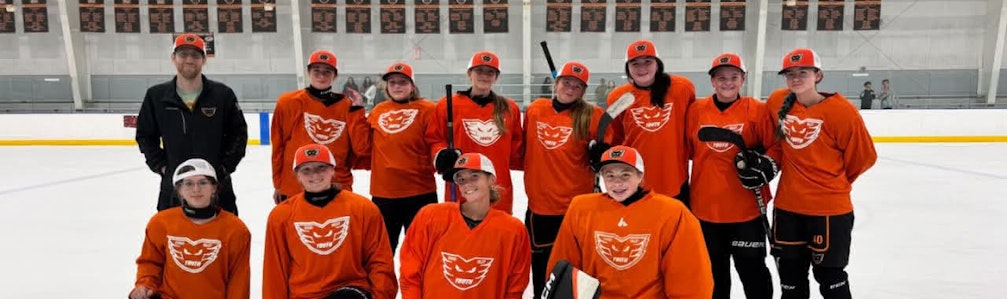 Willow Darling's Ice Hockey cover photo