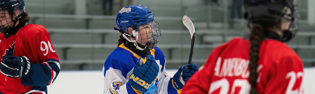 Zoe Dix's Ice Hockey cover photo
