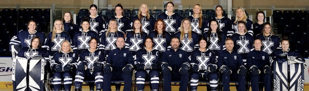 Willie Sofan's Ice Hockey cover photo