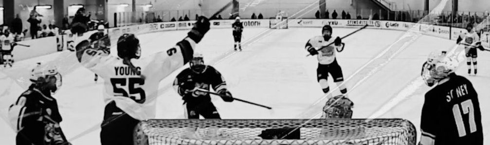 Lexa Young's Ice Hockey cover photo
